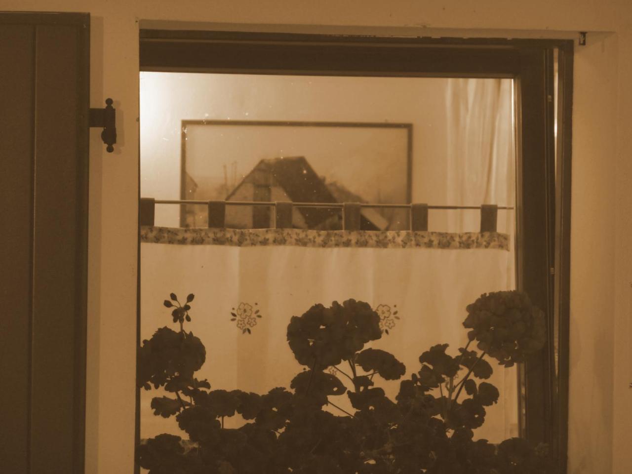 فندق تولميتزوفي  Agriturismo Fornas المظهر الخارجي الصورة